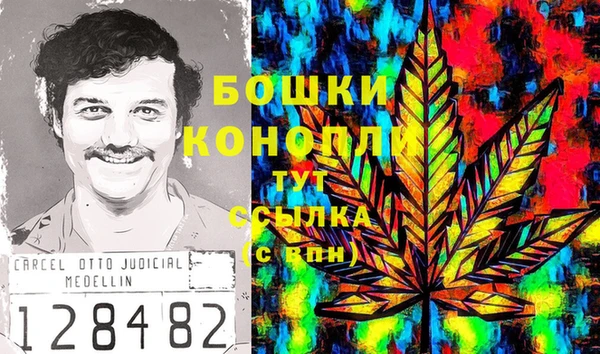 сатива Мурманск