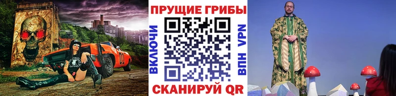 blacksprut зеркало  Курчатов  Псилоцибиновые грибы мухоморы 