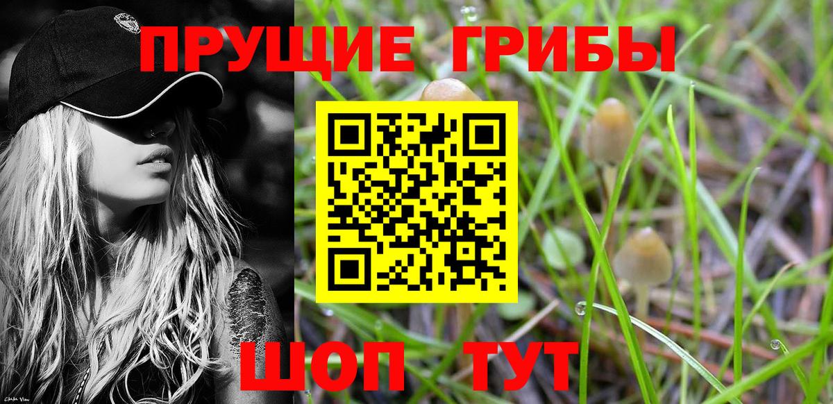 Галлюциногенные грибы мицелий Курчатов