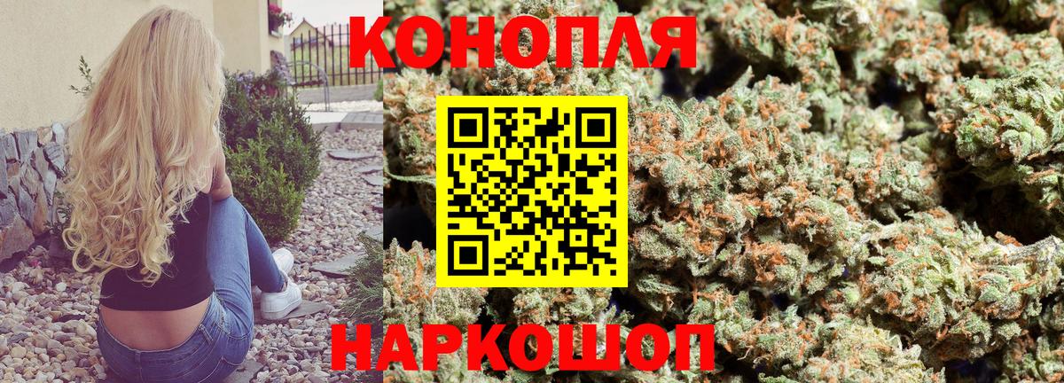 Курчатов  Каннабис индика  Вход с VPN  МАРИХУАНА SATIVA & INDICA  Канабис White Widow 